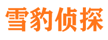 伊宁找人公司